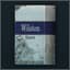 Wilston 윌스턴 담배